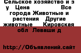 Сельское хозяйство и з/у › Цена ­ 2 500 000 - Все города Животные и растения » Другие животные   . Кировская обл.,Леваши д.